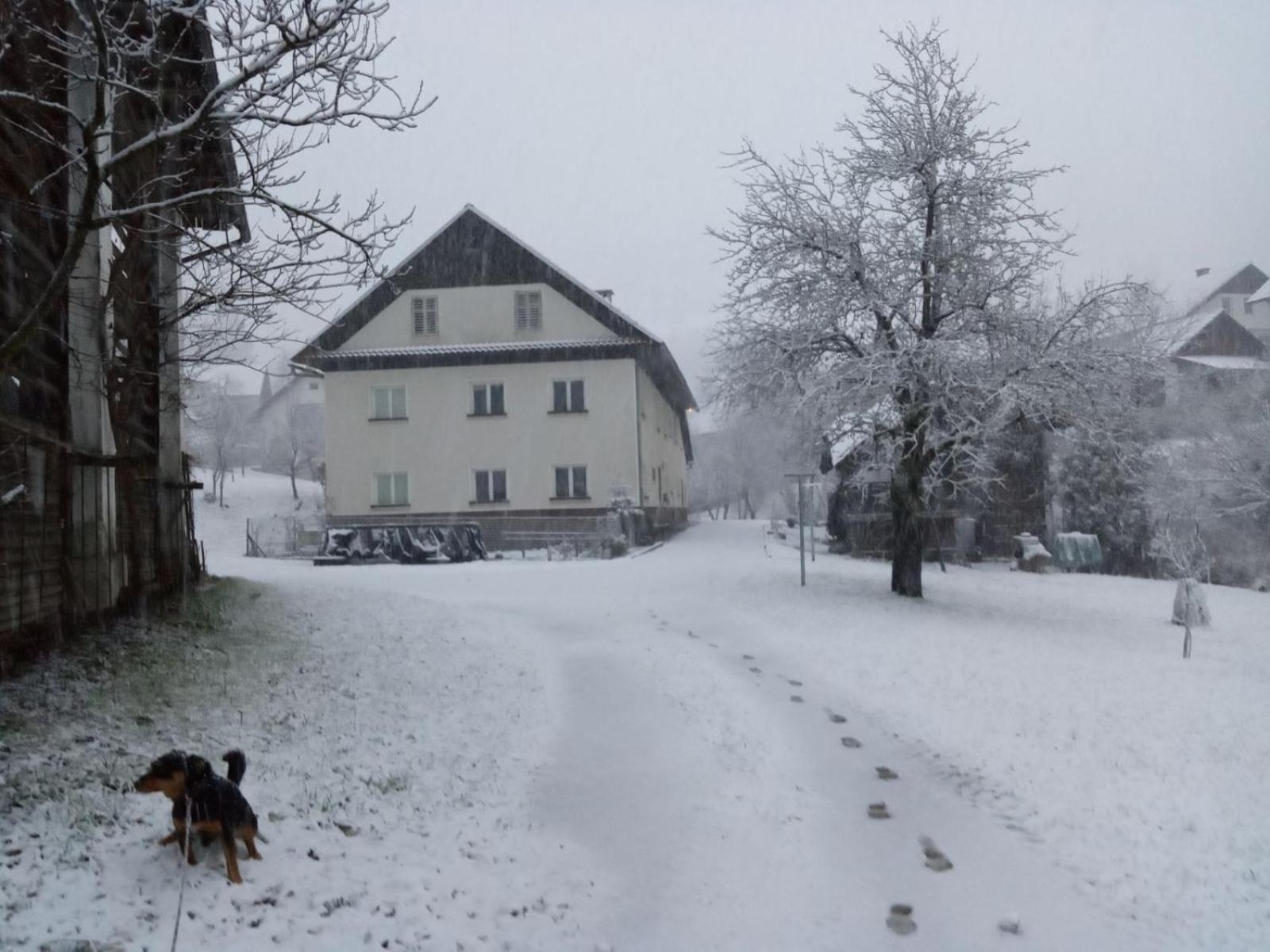 Domacija Markc Zelezniki ภายนอก รูปภาพ