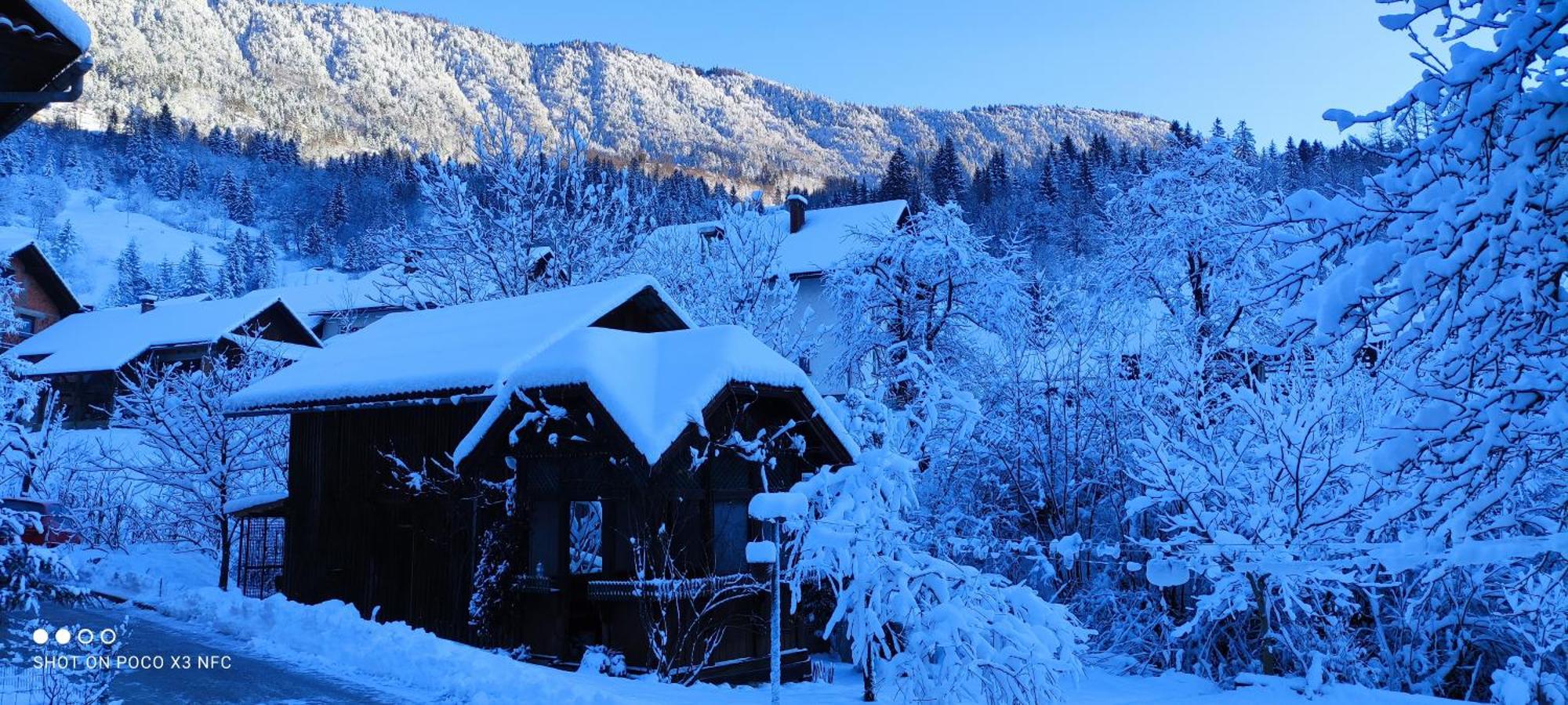 Domacija Markc Zelezniki ภายนอก รูปภาพ