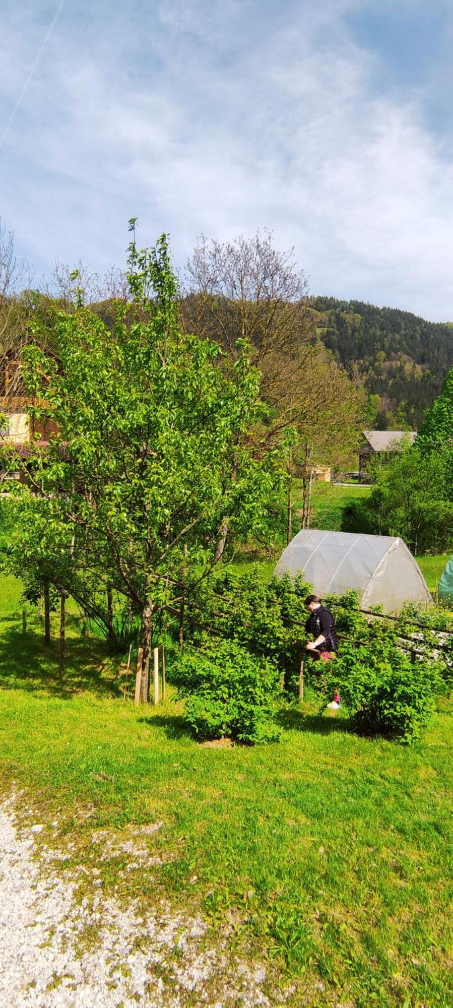 Domacija Markc Zelezniki ภายนอก รูปภาพ
