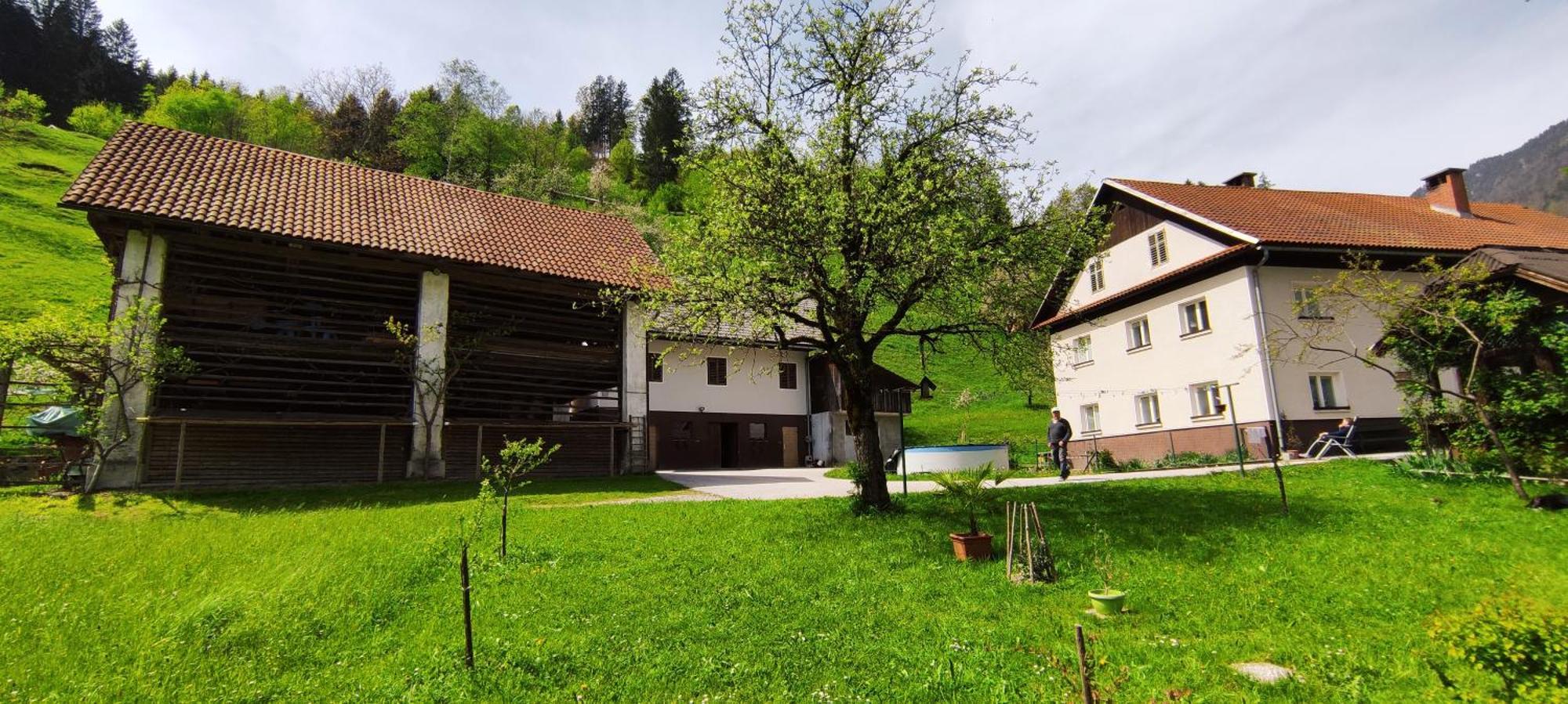 Domacija Markc Zelezniki ภายนอก รูปภาพ